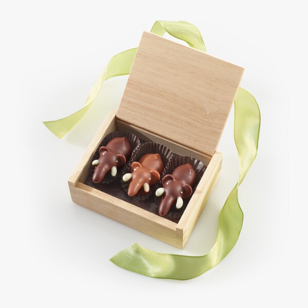 Thumbnail image for Chocolate Elephants